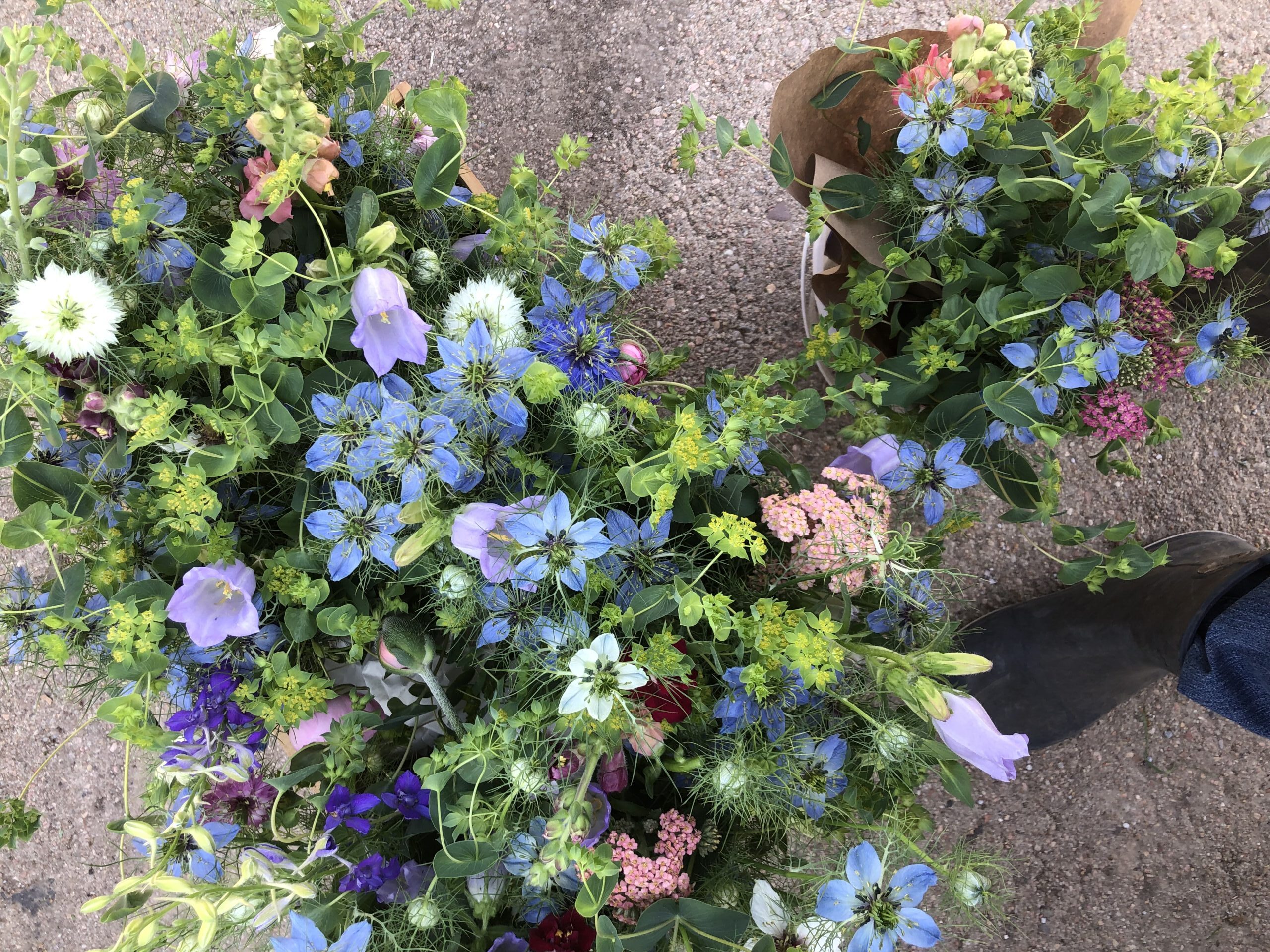 flower bouquets from above