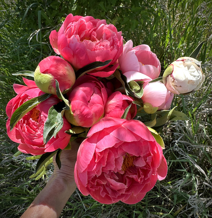 peony bouquet